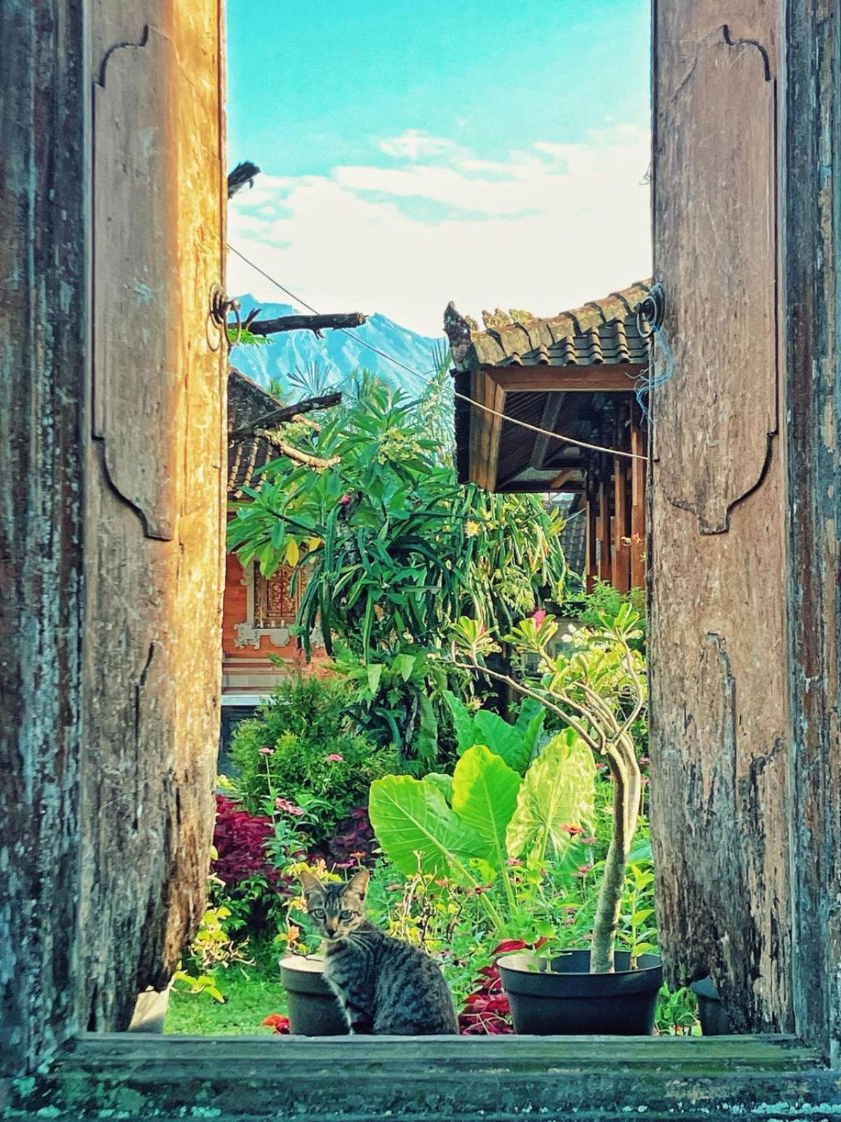 Hause market Sidemen  Exterior foto